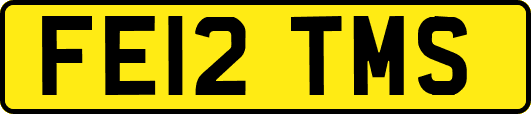 FE12TMS