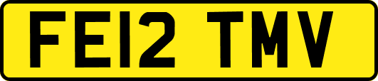 FE12TMV