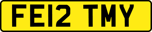 FE12TMY