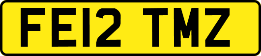 FE12TMZ
