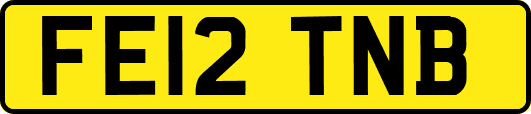 FE12TNB