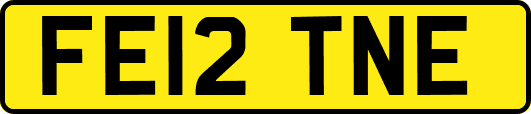 FE12TNE