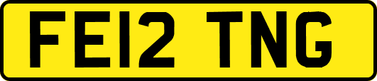 FE12TNG
