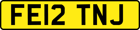 FE12TNJ