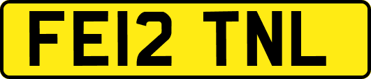 FE12TNL