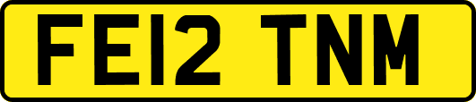 FE12TNM