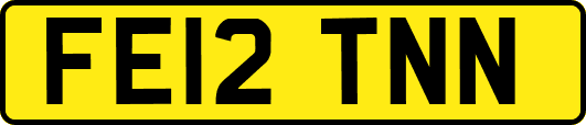 FE12TNN
