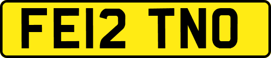 FE12TNO
