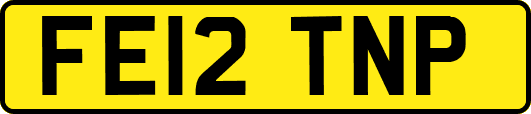 FE12TNP