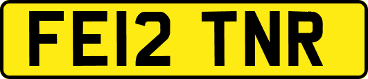 FE12TNR