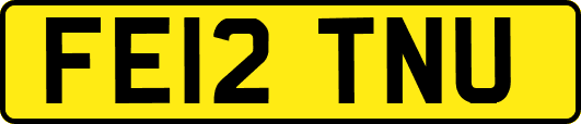 FE12TNU