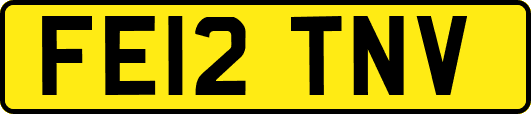 FE12TNV