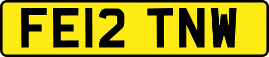 FE12TNW