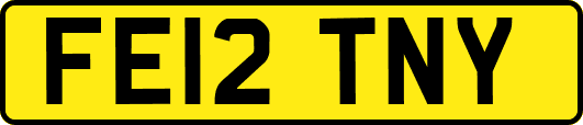 FE12TNY