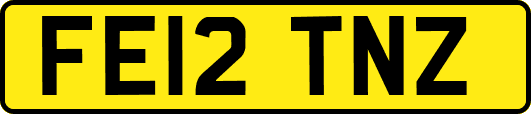 FE12TNZ