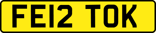 FE12TOK