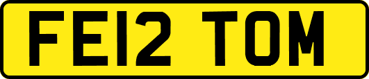 FE12TOM