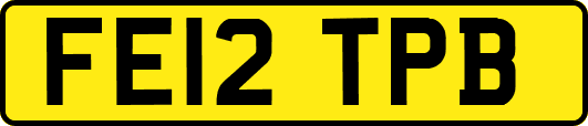 FE12TPB