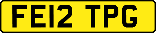 FE12TPG