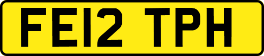FE12TPH