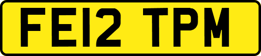 FE12TPM