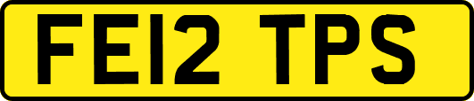 FE12TPS