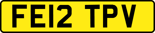 FE12TPV