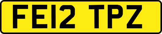 FE12TPZ