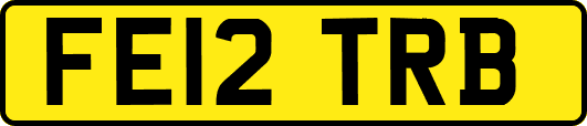 FE12TRB