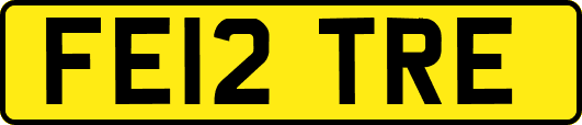FE12TRE