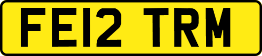 FE12TRM