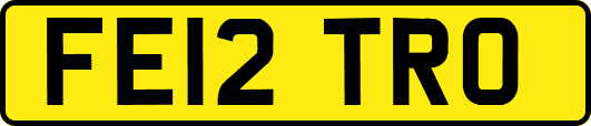 FE12TRO