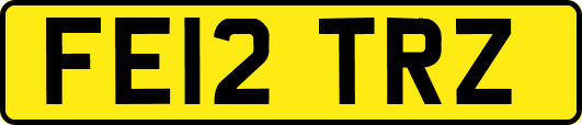FE12TRZ