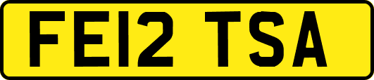 FE12TSA