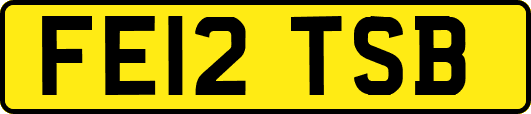 FE12TSB
