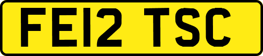 FE12TSC