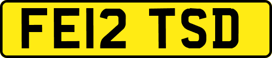 FE12TSD