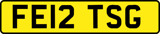 FE12TSG