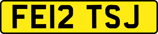 FE12TSJ