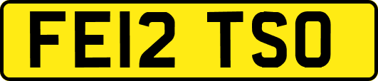 FE12TSO