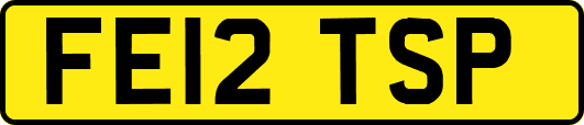 FE12TSP