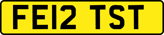 FE12TST