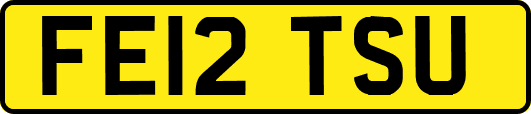 FE12TSU