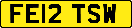 FE12TSW