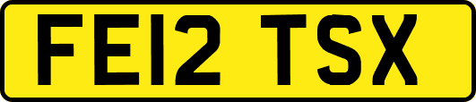 FE12TSX