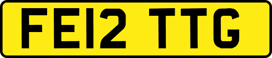 FE12TTG