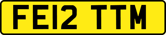 FE12TTM