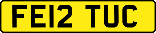 FE12TUC