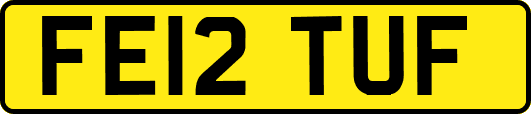 FE12TUF