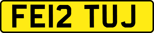 FE12TUJ